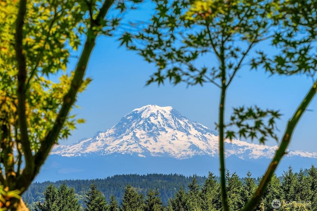 27727 94th Ave SW, Vashon, WA 98070 - view of mountain backdrop featuring a heavily wooded area