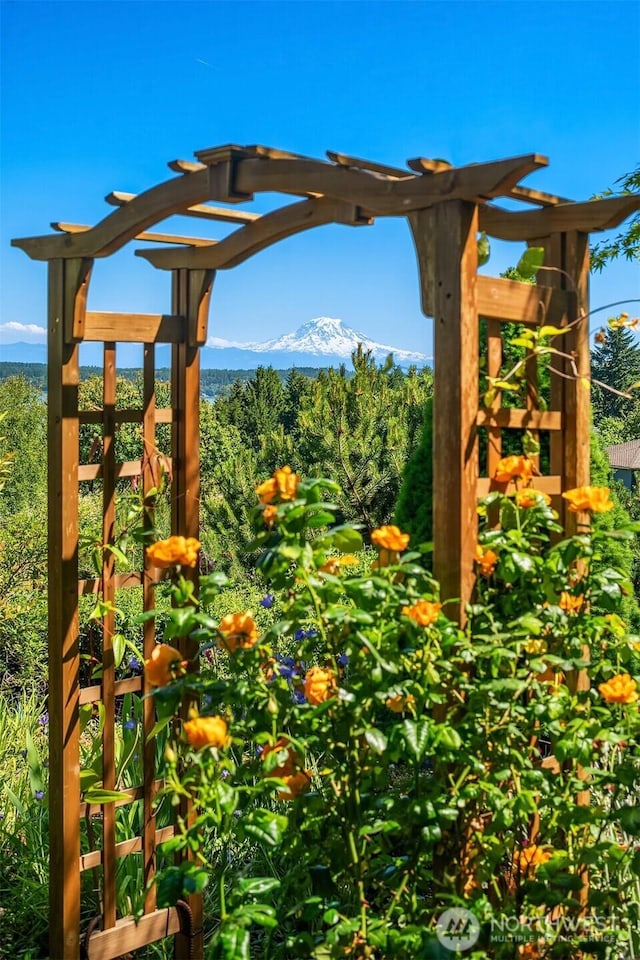 27727 94th Ave SW, Vashon, WA 98070 - view of yard with a mountain view