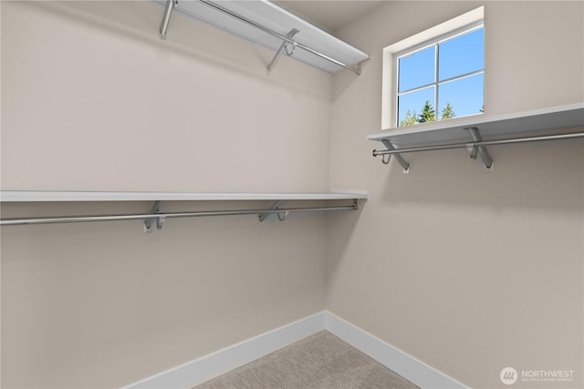 2204 176th Pl SW Unit 3, Lynnwood, WA 98037 - spacious closet with carpet