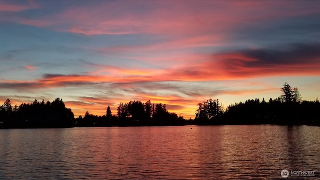 3607 Walthew Dr SE, Lacey, WA 98503 - water view