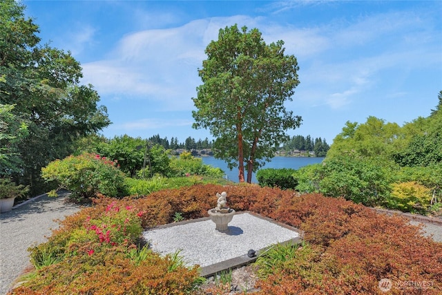 3607 Walthew Dr SE, Lacey, WA 98503 - view of yard featuring a water view