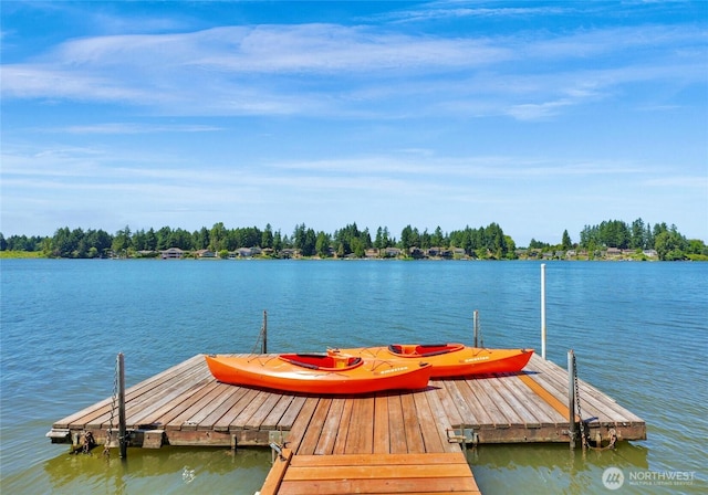 3607 Walthew Dr SE, Lacey, WA 98503 - dock area with a water view