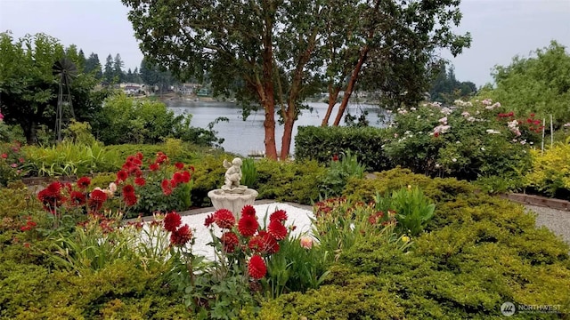 3607 Walthew Dr SE, Lacey, WA 98503 - view of yard featuring a water view