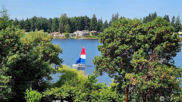 3607 Walthew Dr SE, Lacey, WA 98503 - water view with a boat dock