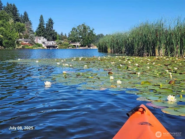 3607 Walthew Dr SE, Lacey, WA 98503 - water view
