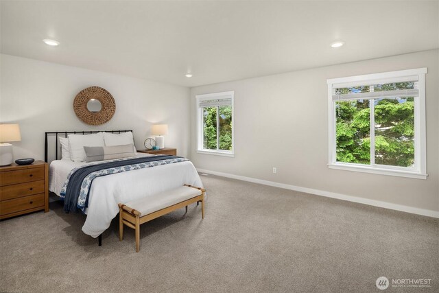 11225 SE 245th Pl, Kent, WA 98030 - photo 19