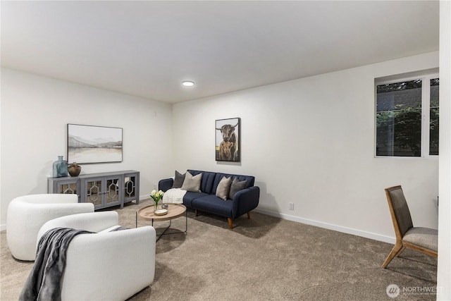 28 Lost Lake Ln, Bellingham, WA 98229 - carpeted living area with baseboards and recessed lighting