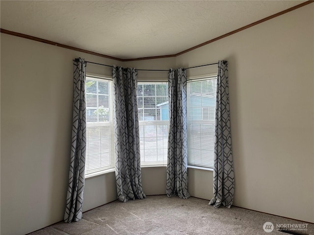 7519 18th Avenue Ct E, Tacoma, WA 98404 - empty room with ornamental molding, carpet floors, and a textured ceiling