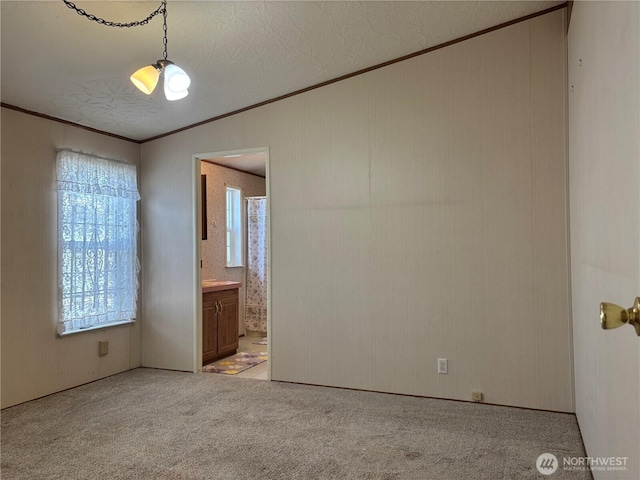 7519 18th Avenue Ct E, Tacoma, WA 98404 - spare room with crown molding, healthy amount of natural light, and light carpet
