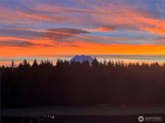 29919 39th Ave S, Roy, WA 98580 - mountain view