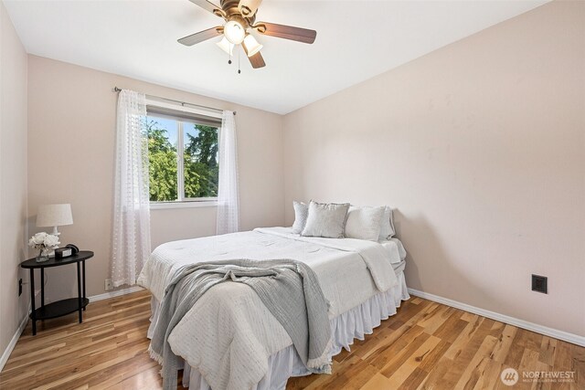 1209 126th Street Ct E, Tacoma, WA 98445 - photo 19