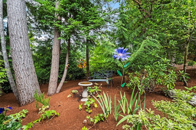 3911 Plume Ln NW, Gig Harbor, WA 98332 - photo 36