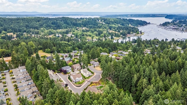3911 Plume Ln NW, Gig Harbor, WA 98332 - photo 39