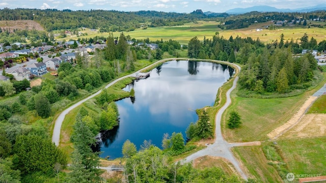 24210 Nookachamp Hills Dr, Mount Vernon, WA 98274 - bird's eye view of a nearby body of water