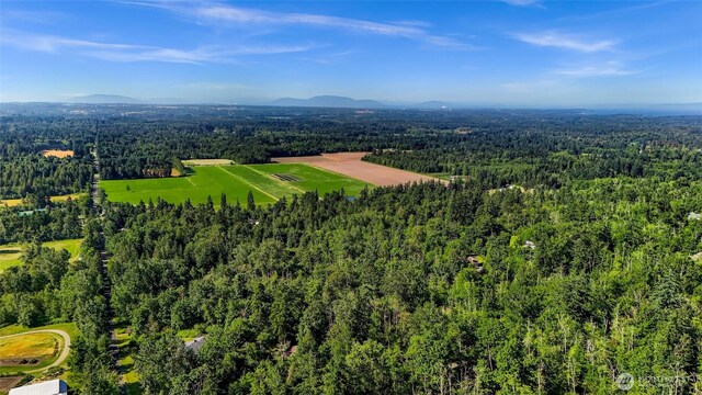 2927 Youngs Rd, Custer, WA 98240 - drone / aerial view of a heavily wooded area and a mountain backdrop