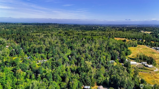2927 Youngs Rd, Custer, WA 98240 - drone / aerial view of a heavily wooded area