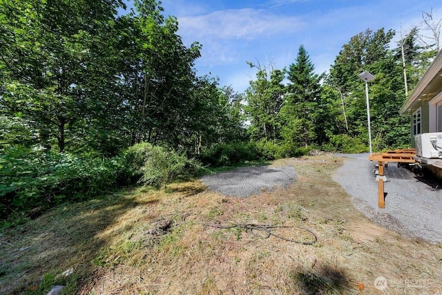2927 Youngs Rd, Custer, WA 98240 - view of yard