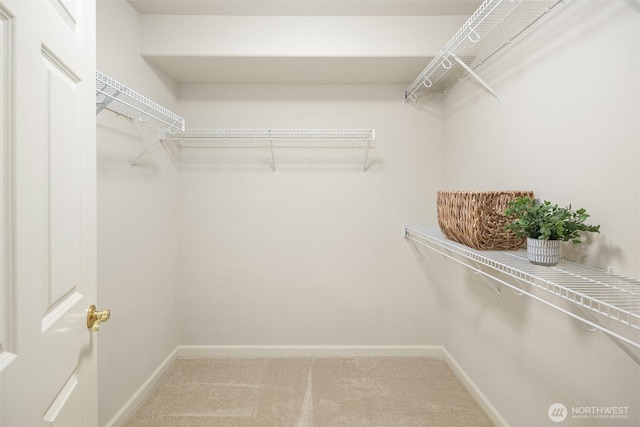 4535 Providence Point Pl SE Unit 202, Issaquah, WA 98029 - walk in closet with carpet flooring