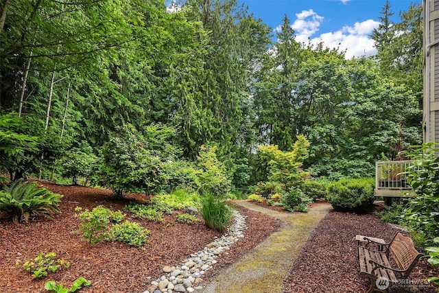 4535 Providence Point Pl SE Unit 202, Issaquah, WA 98029 - view of yard