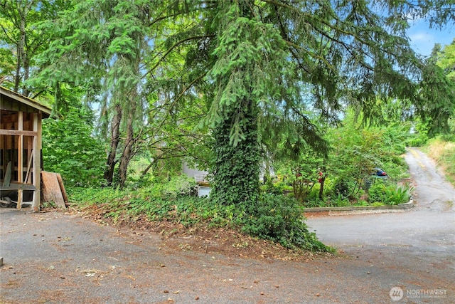3309 Porter St, Bremerton, WA 98312 - photo 24