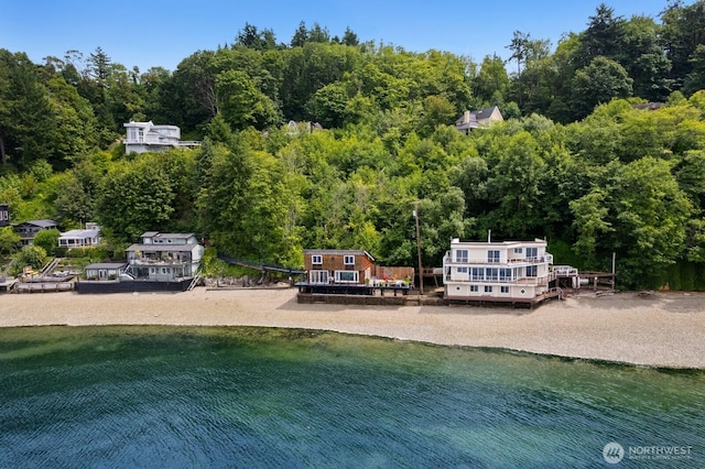 6522 Whitman St NE, Tacoma, WA 98422 - water view with a forest