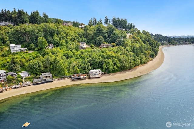 6522 Whitman St NE, Tacoma, WA 98422 - drone / aerial view of a nearby body of water