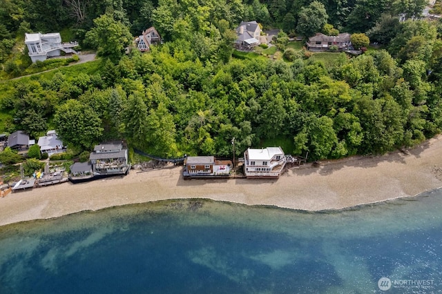6522 Whitman St NE, Tacoma, WA 98422 - bird's eye view of a large body of water and a forest
