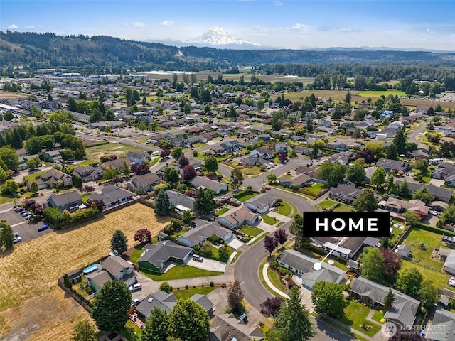 15120 61st St E, Sumner, WA 98390 - aerial view of residential area with mountains