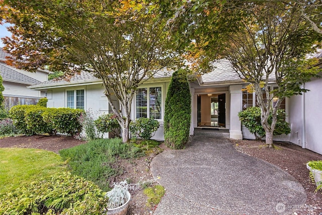 26934 SE 22nd Way, Sammamish, WA 98075 - photo 5