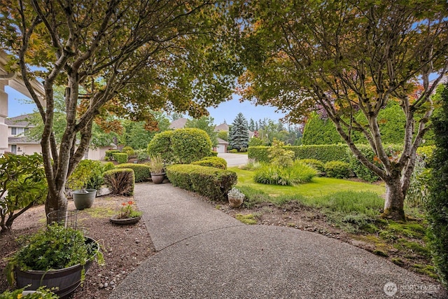 26934 SE 22nd Way, Sammamish, WA 98075 - photo 7