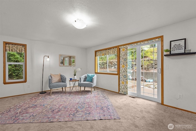 1802 Zephyr Ln NW, Silverdale, WA 98383 - living area with carpet floors and a textured ceiling