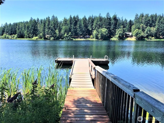 10603 Lakeshore Dr, Anderson Island, WA 98303 - photo 6