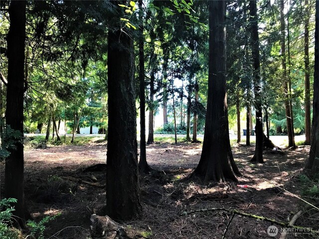 10603 Lakeshore Dr, Anderson Island, WA 98303 - photo 4