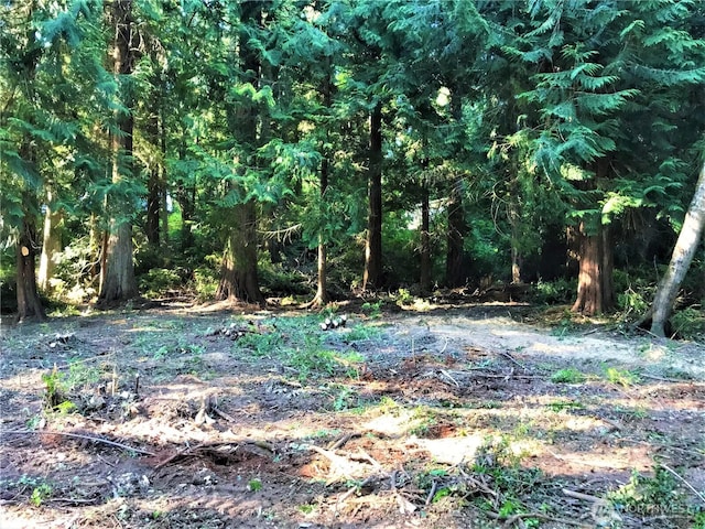 10603 Lakeshore Dr, Anderson Island, WA 98303 - photo 2