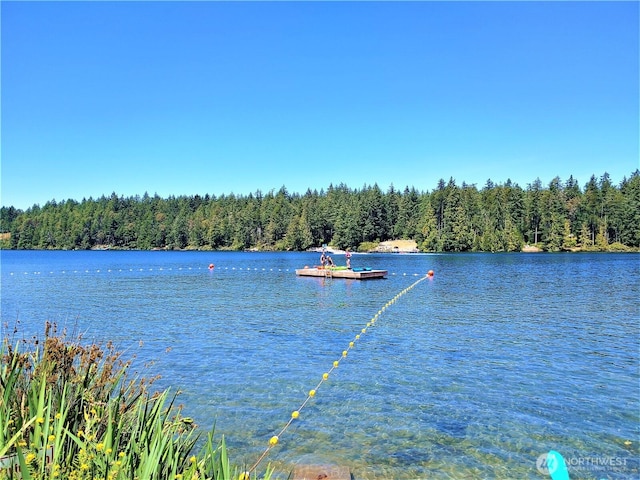10603 Lakeshore Dr, Anderson Island, WA 98303 - photo 11
