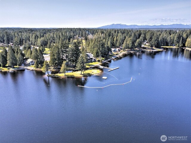 420 E Saint Andrews Dr, Shelton, WA 98584 - photo 29