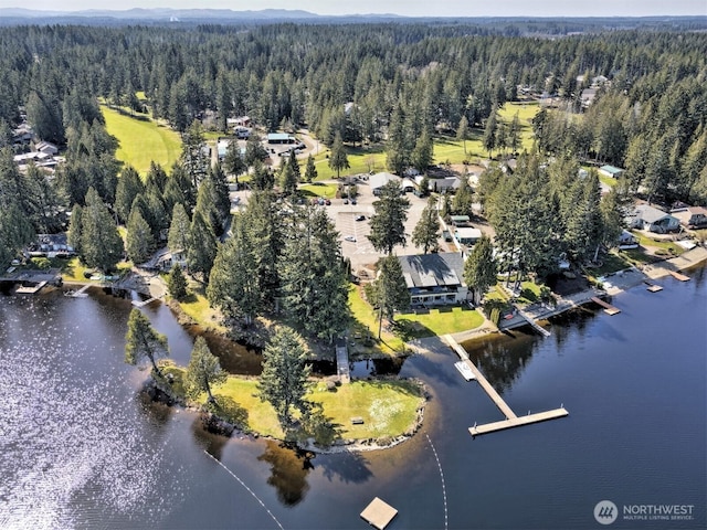 420 E Saint Andrews Dr, Shelton, WA 98584 - photo 30