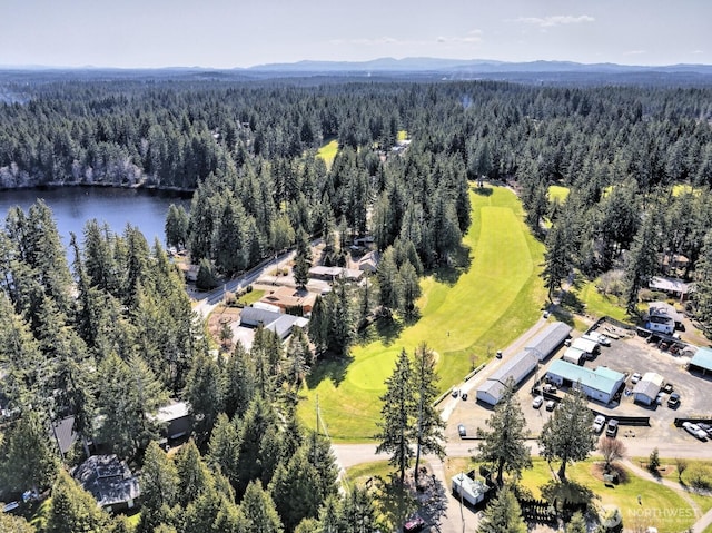 420 E Saint Andrews Dr, Shelton, WA 98584 - photo 33
