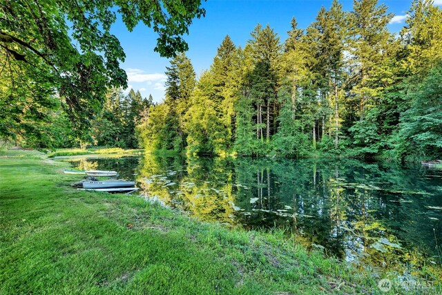 16105 NE 241st Cir, Battle Ground, WA 98604 - photo 35