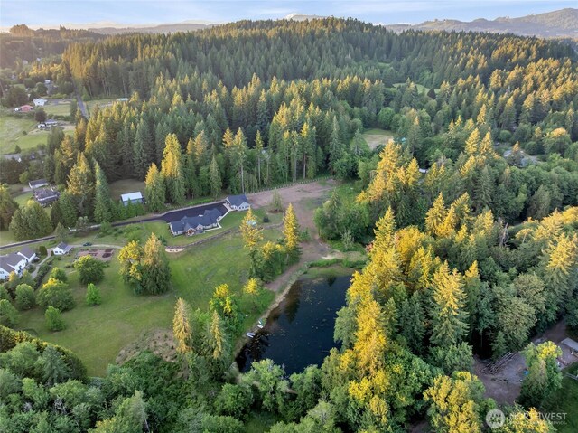 16105 NE 241st Cir, Battle Ground, WA 98604 - photo 36