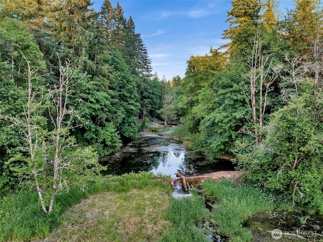16105 NE 241st Cir, Battle Ground, WA 98604 - photo 38