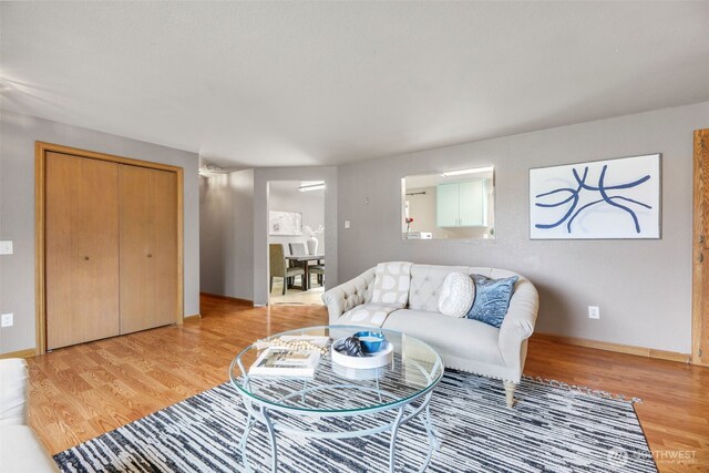 650 Elwell Ave, Darrington, WA 98241 - living room with light wood finished floors