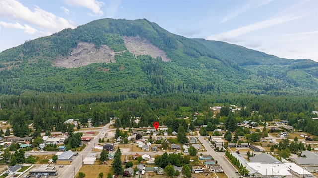 650 Elwell Ave, Darrington, WA 98241 - mountain view with a forest and nearby suburban area
