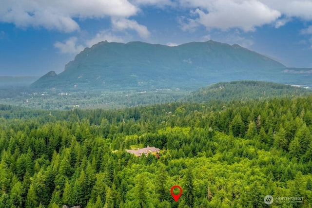 43920 SE 170th St, North Bend, WA 98045 - view of mountain backdrop with a heavily wooded area