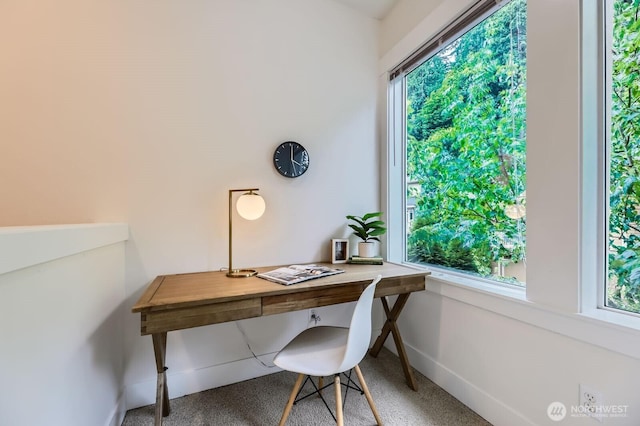 9064 177th Pl NE, Redmond, WA 98052 - carpeted office space with plenty of natural light