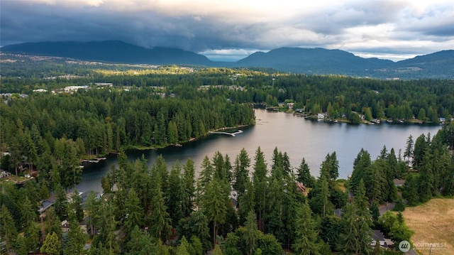 1709 223rd Ave SE, Sammamish, WA 98075 - bird's eye view of a water and mountain view