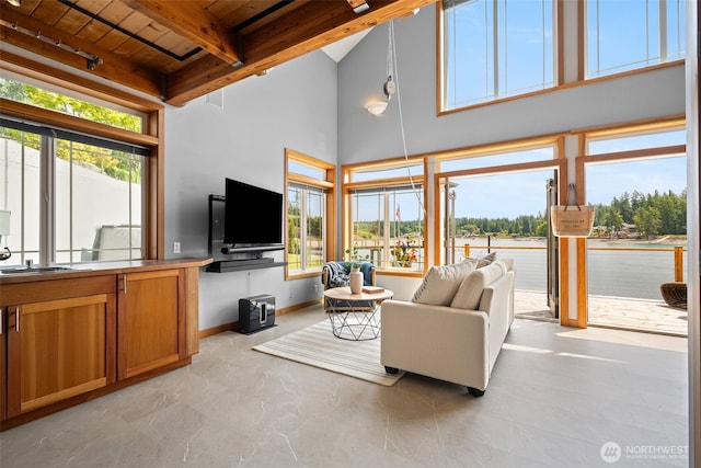 241 Raft Island Dr NW, Gig Harbor, WA 98335 - photo 29