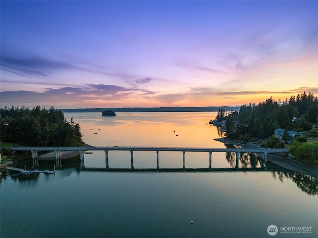 241 Raft Island Dr NW, Gig Harbor, WA 98335 - photo 38