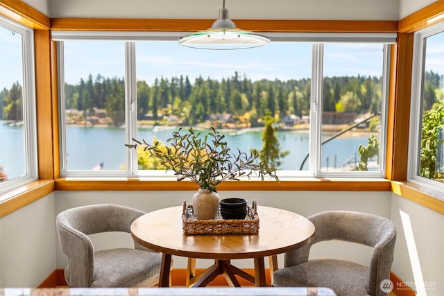241 Raft Island Dr NW, Gig Harbor, WA 98335 - photo 10