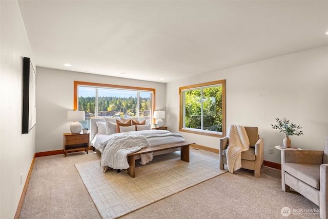 241 Raft Island Dr NW, Gig Harbor, WA 98335 - photo 15